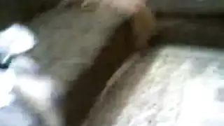 فني جمال طوق