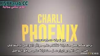 سيدة المنزل الممتلئة الجسم تُملأ بزب وحشي فيلم بورنو صريح