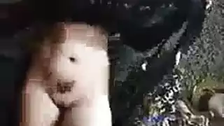 راقصة شرقية تخلع ملابسها لعرض إباحي صريح