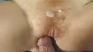 تجميعة الحيوانات
