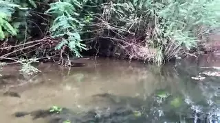 فتاة الصدر الكبير تأخذ قضيبًا صلبًا في الإباحية