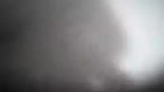 نيطنيطني