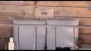 رجل مستقيم الأفريقي سمور